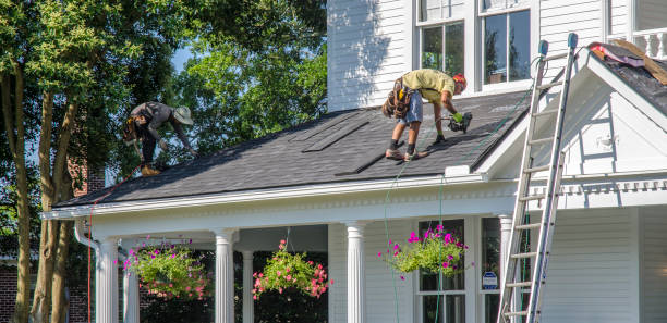 Best Roof Gutter Cleaning  in Osceola, IA