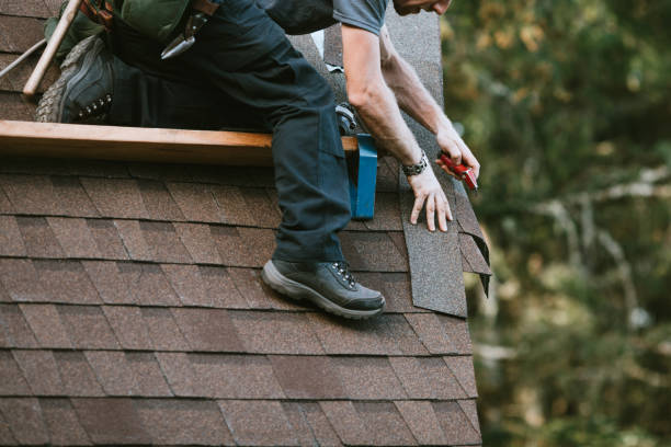 Best Roof Leak Repair  in Osceola, IA